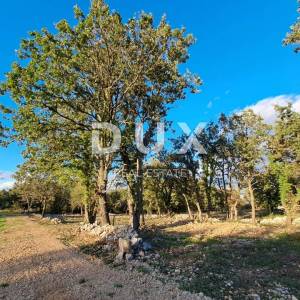 Otok Krk, Šilo -  Očišćeno, ravno poljoprivredno zemljište, buduće građevinsko, 600m do prekrasnih plaža, mora i supermarketa s...