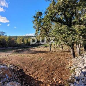 Otok Krk, Šilo -  Očišćeno, ravno poljoprivredno zemljište, buduće građevinsko, 600m do prekrasnih plaža, mora i supermarketa s...
