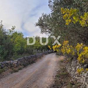 Otok Krk, Šilo -  Očišćeno, ravno poljoprivredno zemljište, buduće građevinsko, 600m do prekrasnih plaža, mora i supermarketa s...
