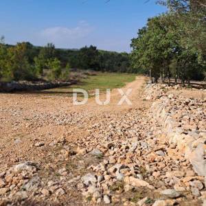 Otok Krk, Šilo -  Očišćeno, ravno poljoprivredno zemljište, buduće građevinsko, 600m do prekrasnih plaža, mora i supermarketa s...