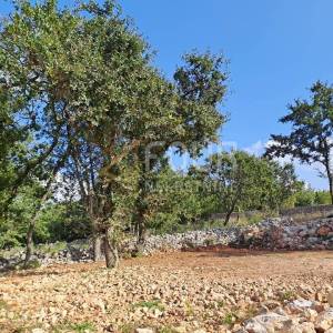 Otok Krk, Šilo, poljoprivredno zemljište 219m2