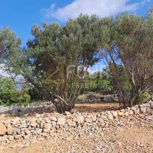 Otok Krk, Šilo, poljoprivredno zemljište 219m2