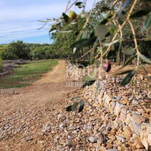 Otok, Krk, Šilo, poljoprivredno zemljište 215m2