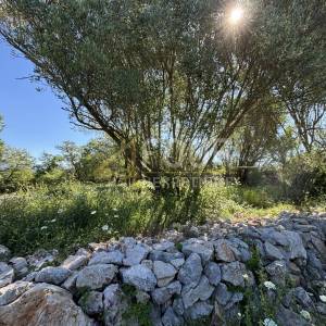 Otok Krk, Šilo, poljoprivredno zemljište 217m2