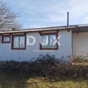 OTOK KRK, ŠOTOVENTO - Maslinik sa kućom