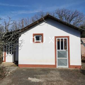 OTOK KRK, ŠOTOVENTO - Maslinik sa kućom