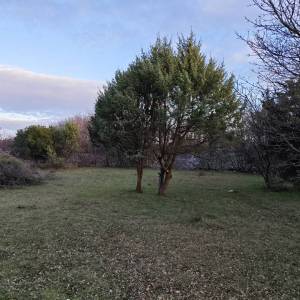 OTOK KRK, ŠOTOVENTO -  poljoprivredno zemljište