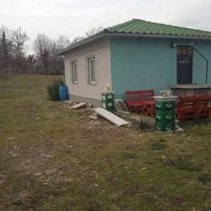OTOK KRK, VRH - Maslinik