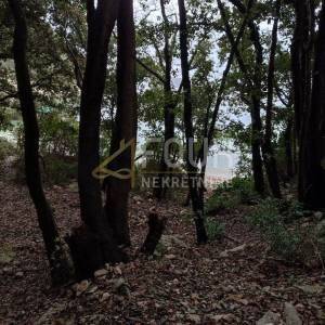 Otok Krk, Vrh, poljoprivredno zemljište 13.880m2