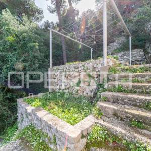 Otok Mljet – Kuća uz more i zemljište za uzgoj mediteranskih kultura