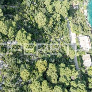 Otok Mljet – Kuća uz more i zemljište za uzgoj mediteranskih kultura