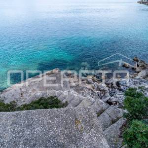 Otok Mljet – Kuća uz more i zemljište za uzgoj mediteranskih kultura