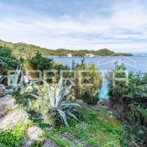 Otok Mljet – Kuća uz more i zemljište za uzgoj mediteranskih kultura