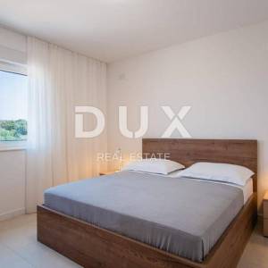 OTOK PAG, MANDRE - luksuzna vila s bazenom