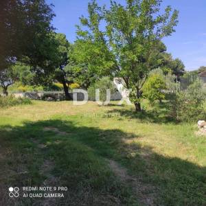 OTOK RAB, KAMPOR - Kuća za adaptaciju sa maslinikom 800m od plaže