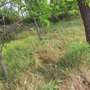 Otok Rab, Lopar, zemljište, 310m2
