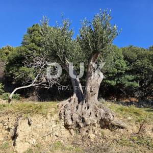 OTOK RAB, MUNDANIJE - Građevinsko zemljište s jedinstvenim pogledom na grad