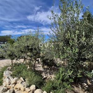 PAG, JAKIŠNICA - Intimna oaza prepuna mediteranskog bilja