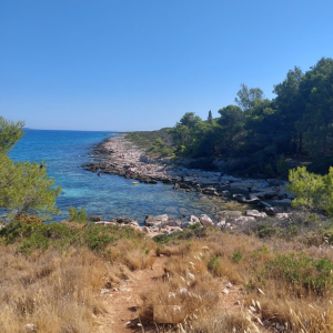 PAŠMAN, TKON- poljoprivredno zemljište 1166m2 s pogledom na more 200m od mora