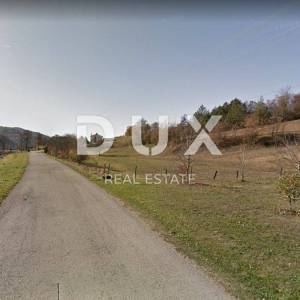 PAZIN, CEROVLJE, BORUT - građevinsko zemljište za stambenu zgradu-stanove -apartmane / obiteljsku kuću / kuću za iznajmljivanje...