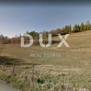 PAZIN, CEROVLJE, BORUT - građevinsko zemljište za stambenu zgradu-stanove -apartmane / obiteljsku kuću / kuću za iznajmljivanje...