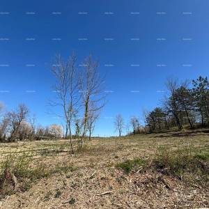 PAZIN (Istra) - građevinsko zemljište 1666 m2, u zelenoj zoni