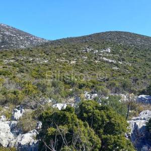 Pelješac, prodaja zemljište 158.515m2, otvoren pogled