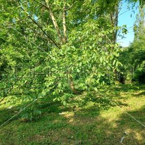 Perjavica, Gornji Stenjevec, 2.910,00 m2, 257.500,00 EUR