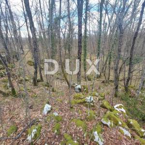 PERMANI - građevinski teren 1640 m2 za halu / poslovnu zgradu