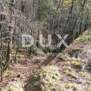 PERMANI- zemljište 9500m2 za poslovnu zgradu/ halu- 2000m2 građevinsko+ 7500m2 zeleni pojas