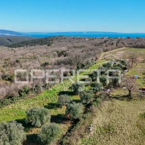 Peruški, Peruški, 3.198,00 m2, 250.000,00 EUR
