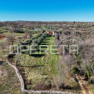 Peruški, Peruški, 3.198,00 m2, 250.000,00 EUR
