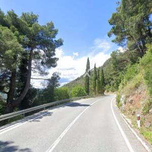 PLOMIN - poljoprivredno zemljište 28000m2 s ucrtanim objektom 55m2, udaljeno 300m od mora