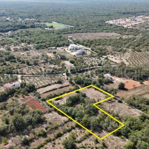 POLIČNIK, GRAĐEVINSKO ZEMLJIŠTE - Tri parcele, 4814 m²
