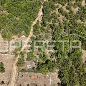 POLIČNIK – Građevinsko zemljište 665 m²