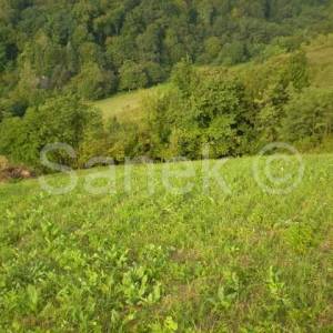 Poljoprivredno zemljište na Svetonedeljskom Bregu