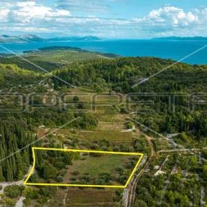 Poljoprivredno zemljište 3.370 m2, Žrnovo, Korčula 