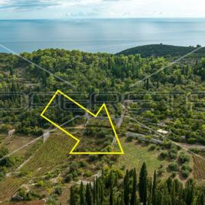 Poljoprivredno zemljište 3.370 m2, Žrnovo, Korčula 