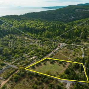 Poljoprivredno zemljište 3.370 m2, Žrnovo, Korčula 