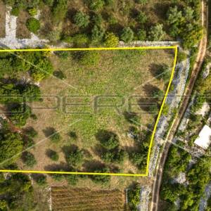 Poljoprivredno zemljište 3.370 m2, Žrnovo, Korčula 