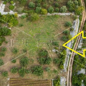 Poljoprivredno zemljište 3.370 m2, Žrnovo, Korčula 