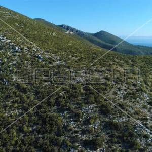 Poljoprivredno zemljište sa pogledom na more, 15 ha, Orebić, Pelješac

