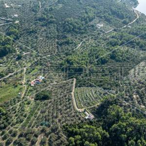Poljoprivredno zemljište na Korčuli – 14.406 m² za Razvoj i Ulaganje

