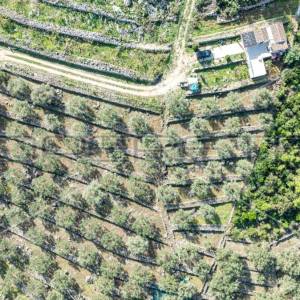 Poljoprivredno zemljište na Korčuli – 14.406 m² za Razvoj i Ulaganje

