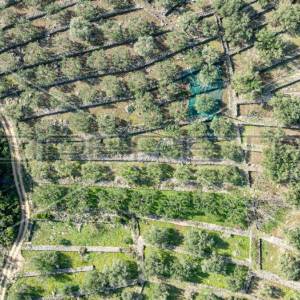 Poljoprivredno zemljište na Korčuli – 14.406 m² za Razvoj i Ulaganje

