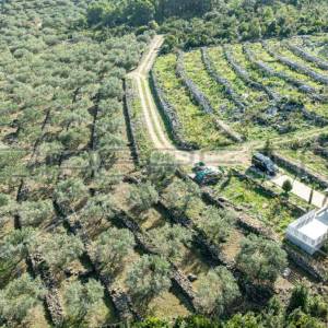 Poljoprivredno zemljište na Korčuli – 14.406 m² za Razvoj i Ulaganje

