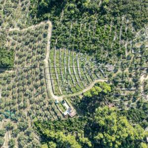 Poljoprivredno zemljište na Korčuli – 14.406 m² za Razvoj i Ulaganje

