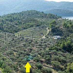 Poljoprivredno zemljište na Korčuli – 14.406 m² za Razvoj i Ulaganje


