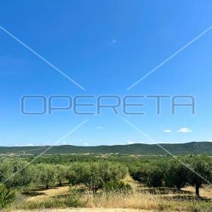 Poljoprivredno zemljište idealno za agroturizam, Dazlina, 45.000 m2
