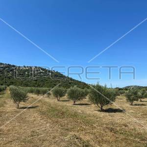 Poljoprivredno zemljište idealno za agroturizam, Dazlina, 45.000 m2
